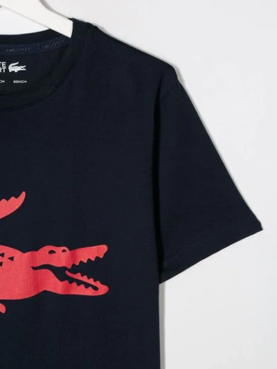 Shop Lacoste Graphic T-shirt In Blue