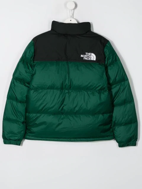the north face puffer jacket green
