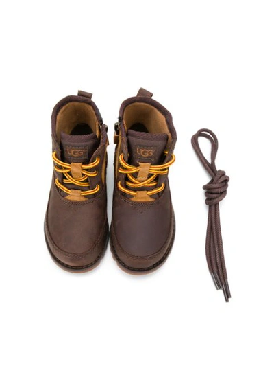Shop Ugg Lace-up Ankle Boots In Brown