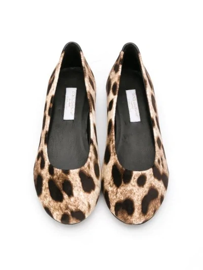 Shop Dolce & Gabbana Leopard-print Ballerina Flats In Neutrals