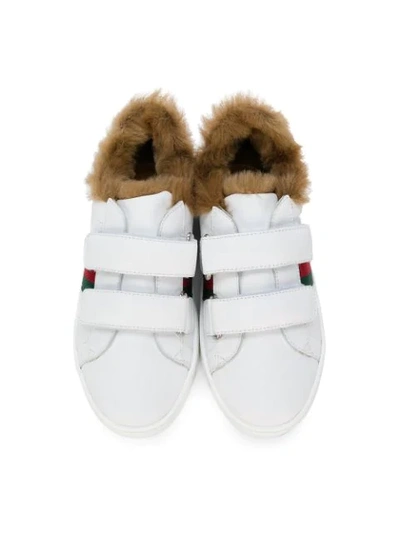 Shop Gucci Fox Fur Lined Web Sneakers In White