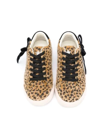 Shop Douuod Furry Leopard Low-top Sneaker In Brown