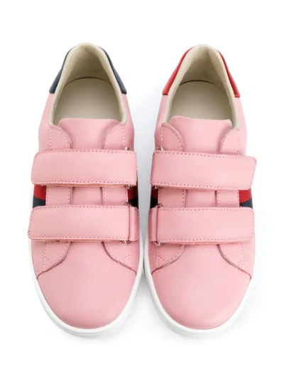 Shop Gucci Web Sneakers In Pink