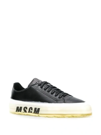 Shop Msgm Printed Logo Sneakers In Black
