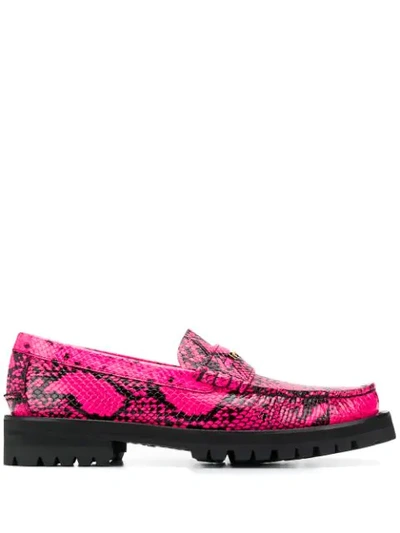 Shop Versace Python Print Leather Loafers In Pink