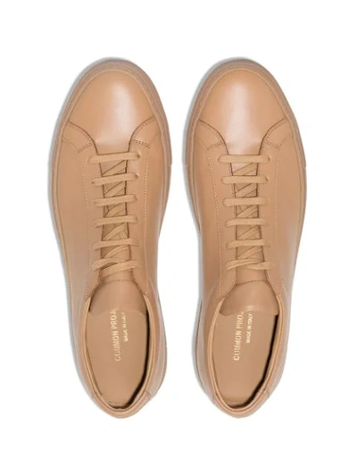 Shop Common Projects Achilles Low-top Sneakers In Neutrals