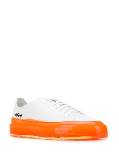 Shop Msgm Fluorescent Sole Sneakers In White