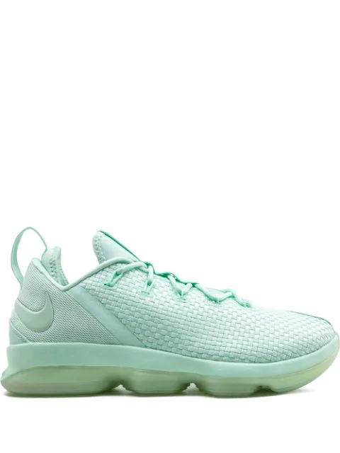 lebron xiv low