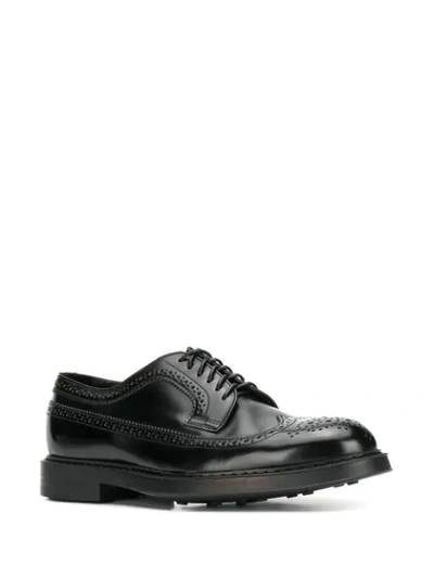 Shop Doucal's Brogue-style Lace Up Shoes In Black