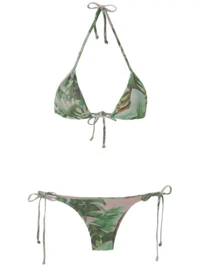 Shop Amir Slama Triangle Bikini Set In Green