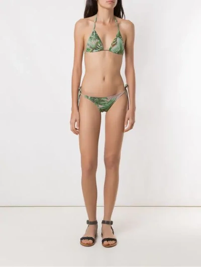 Shop Amir Slama Triangle Bikini Set In Green