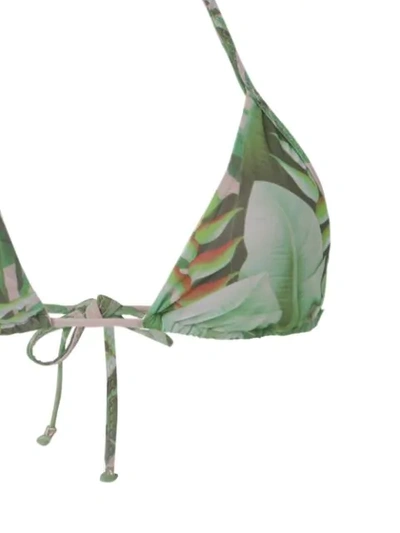 Shop Amir Slama Triangle Bikini Set In Green