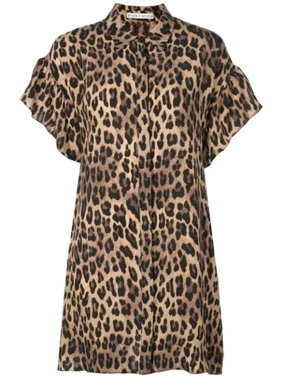 Shop Alice And Olivia Jude Leopard Print Shirt Dress In Yellow