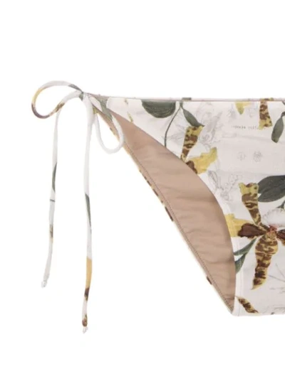 Shop Adriana Degreas Printed Triangle Bikini Set In Multicolour