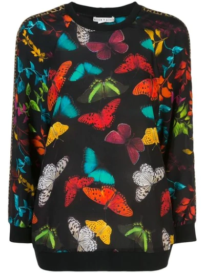 Shop Alice And Olivia Calvin Butterfly Print Sweater In Black