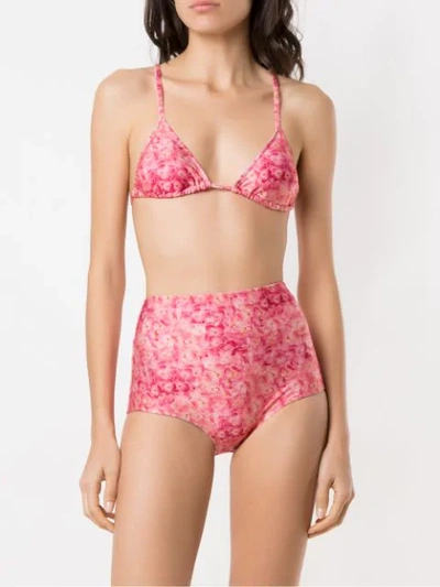 Shop Adriana Degreas Printed Triangle Bikini Set In Pink