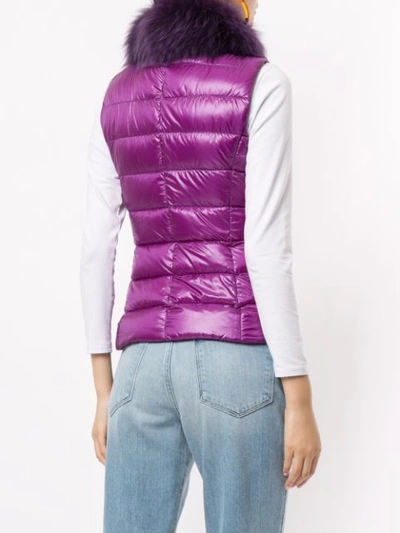 Shop Herno Padded Down Gilet In Purple