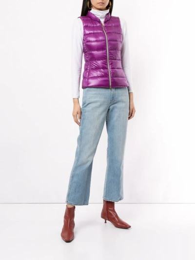 Shop Herno Padded Down Gilet In Purple
