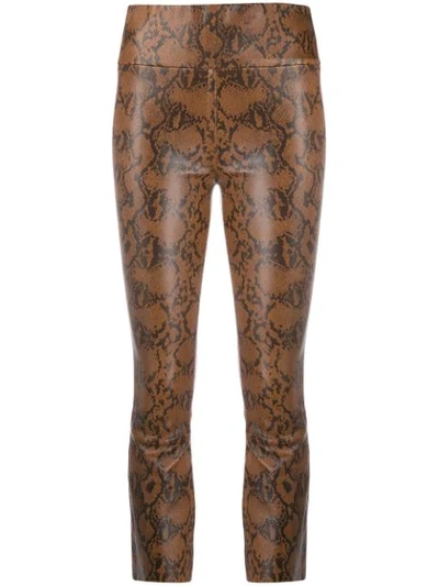 Shop Sprwmn High Rise Snakeskin Print Trousers In Brown