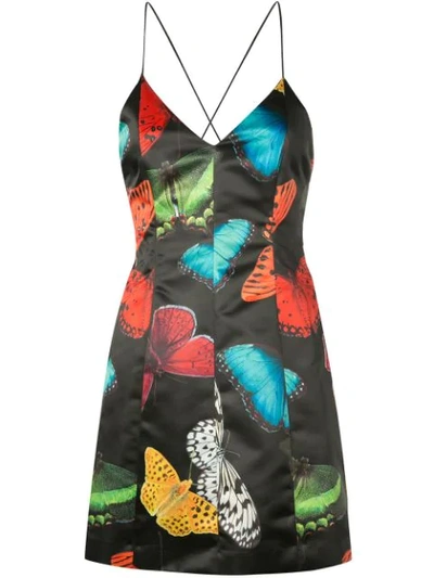 Shop Alice And Olivia Tayla Butterfly Print Mini Dress In Black
