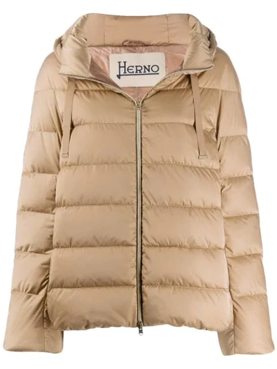 Shop Herno Padded Hooded Jacket In Neutrals