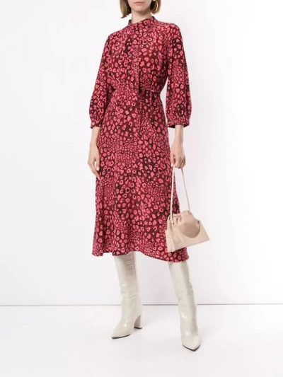 Shop Cefinn Leopard Print Buttoned Dress In Pink
