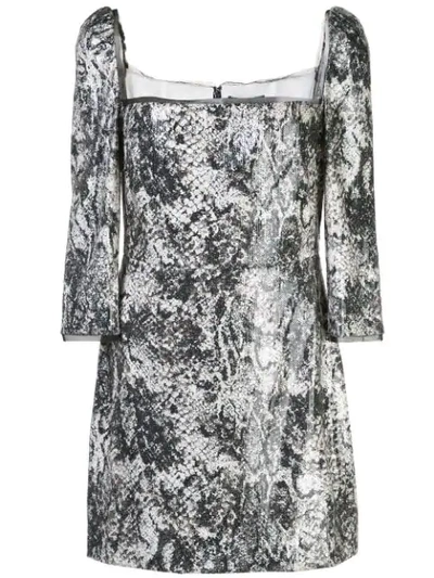 Shop Rachel Zoe Chiara Short Dress In Grey