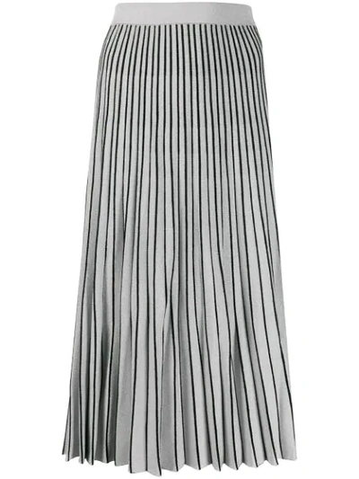 Shop Proenza Schouler Metallic Striped Pleated Skirt In Silver