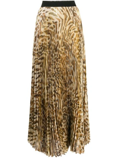 Shop Blumarine Printed Pleated Long Skirt In Neutrals