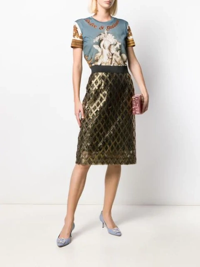 Shop Dolce & Gabbana Embroidered High-waisted Skirt In Gold