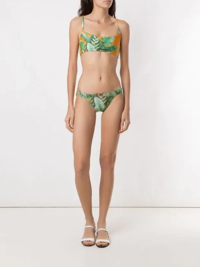 Shop Amir Slama Printed Bikini Set In Green