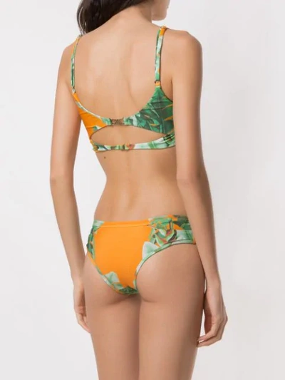 Shop Amir Slama Printed Bikini Set In Green
