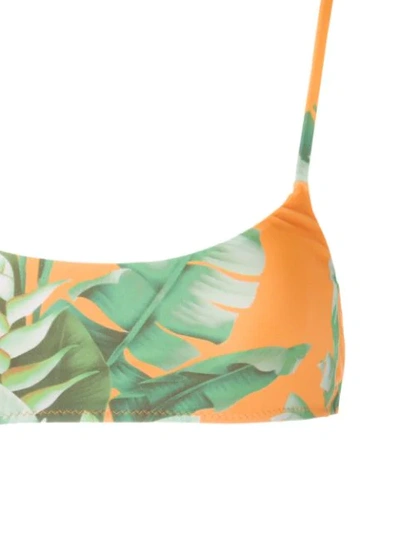 Shop Amir Slama Printed Bikini Set In Green