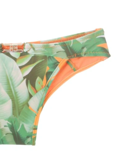 Shop Amir Slama Printed Bikini Set In Green