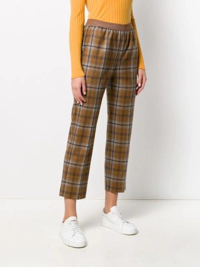 Shop Agnona Cropped Check-print Trousers In Brown