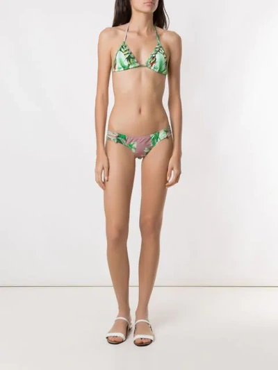 Shop Amir Slama Printed Triangle Bikini Set In Green