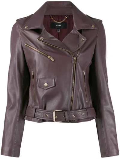 Shop Arma Zip-up Biker Jacket In Purple