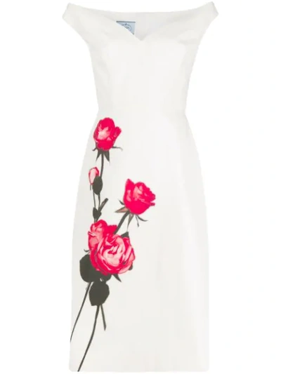 Shop Prada Rose Print Shift Dress In Bianco Lacca