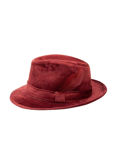 Shop Robert Graham Fedora Hat In Burgundy