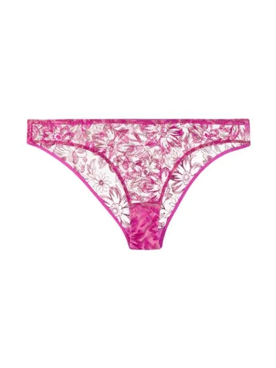 MYLA COLUMBIA ROAD三角裤 - 粉色