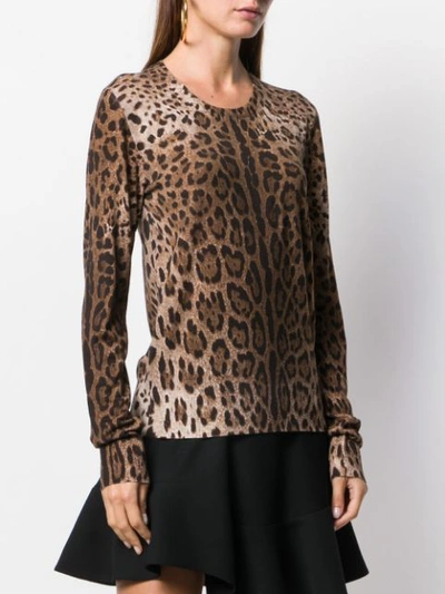 Shop Dolce & Gabbana Leopard Knitted Jumper In Brown