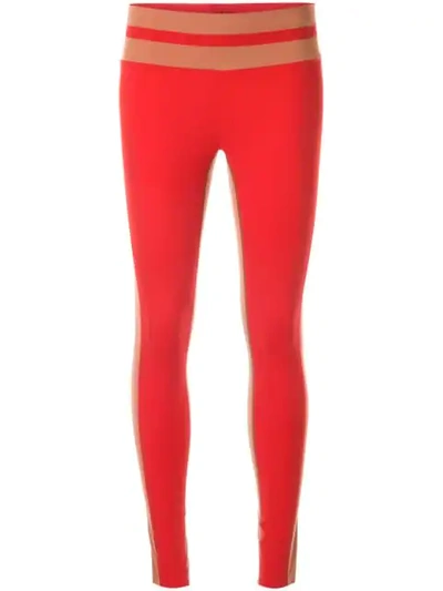 Shop Vaara Flo Tuxedo Leggings In Red