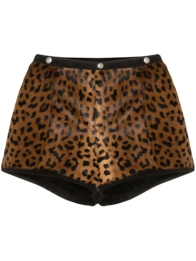 LEOPARD PRINT MICRO SHORTS