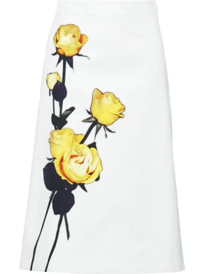 Shop Prada Rose Print Poplin Skirt In White