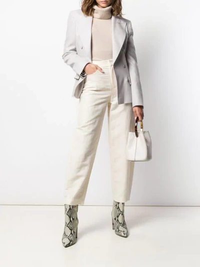 Alberta Ferretti Double-breasted Blazer In Grey