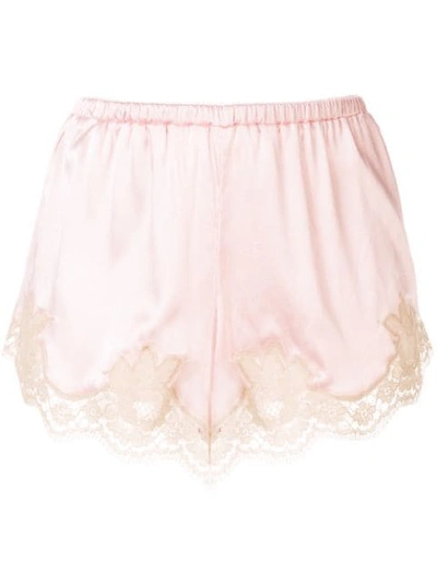 Shop Dolce & Gabbana Lace-trim Brief Shorts In Pink