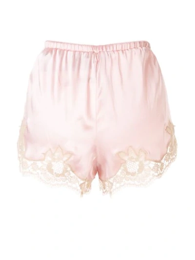 Shop Dolce & Gabbana Lace-trim Brief Shorts In Pink