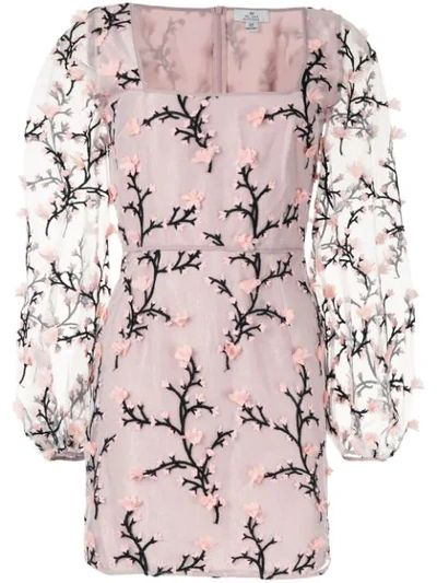 We Are Kindred Charlotte Mini Dress In Pink