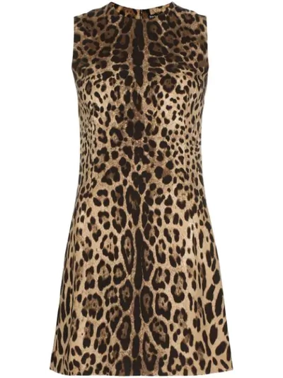 Shop Dolce & Gabbana Leopard Print Mini Dress - Black