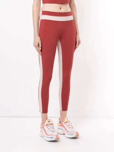 Shop Vaara Freya Leggings In Red